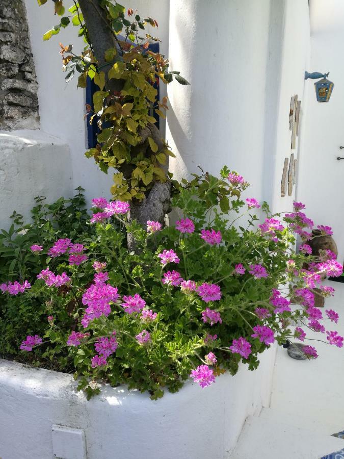 La Rosamarina Estrómboli